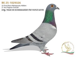 BE 25-1029326