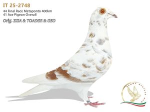 IT 25-2748