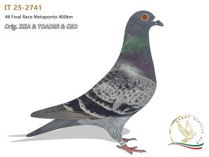 IT 25-2741