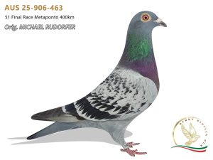 AUS 25-906-463