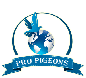 Logo-PRO-PIGEONS-bun